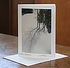Winter Shadows -- 100 cards