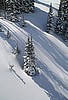 Utah - Winter Scenes