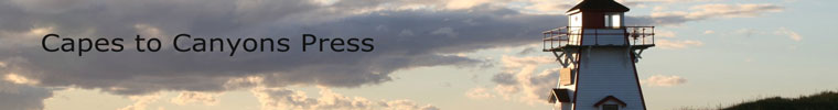 Header Graphic
