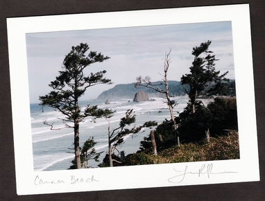 Silver Point View