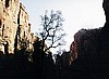 Zion Silhouette
