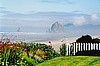 Oregon - Coast Scenes