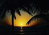 Sunsets